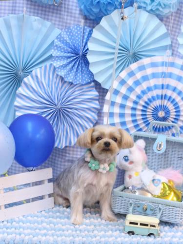 20231110ぷぅちゃん